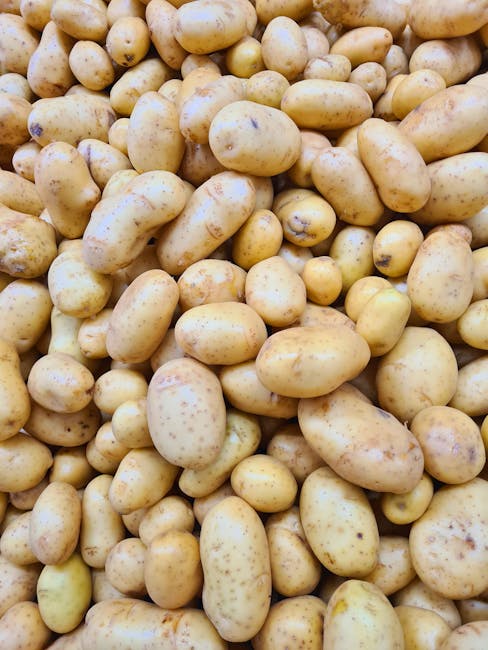 Red Potatoes ORG