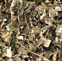 Red Raspberry Leaf