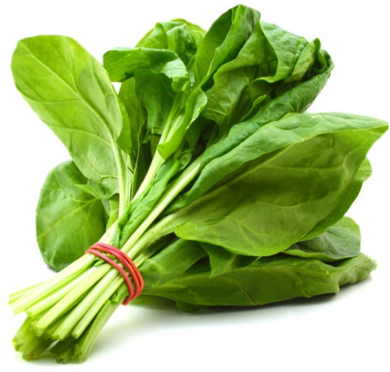 Spinach ORG