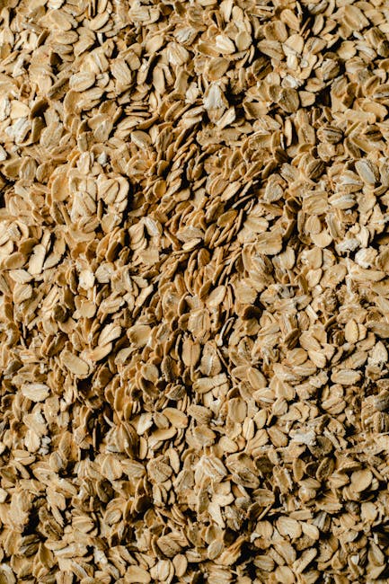 Sprouted Rolled Oats 