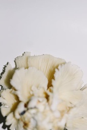 White Mushrooms Non ORG