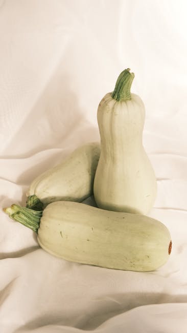 Zucchini Non ORG