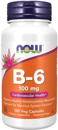 B-6 Vitamin 100 caps
