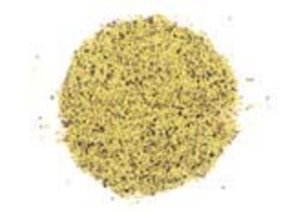 Red Clover Seed