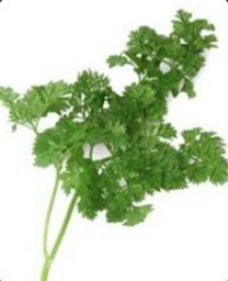 Chervil