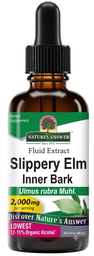 Slippery Elm Bark Extract 