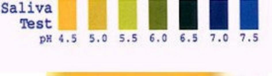 pH Test Kit