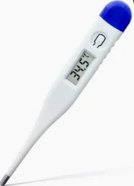 Flexible Digital Thermometer 2pk