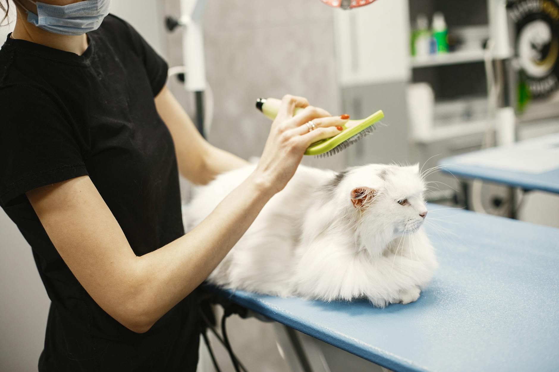 Baby Grooming & Hygiene