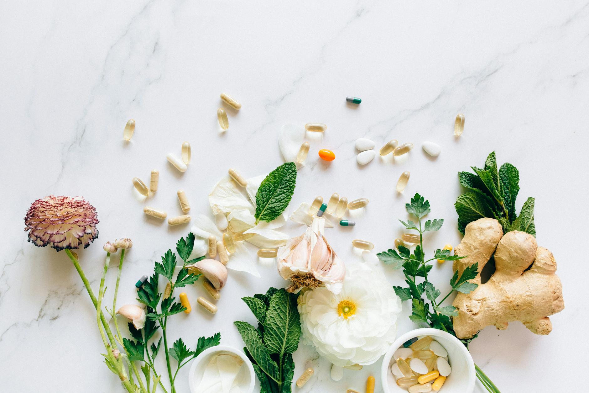 Plant-Based Alternatives