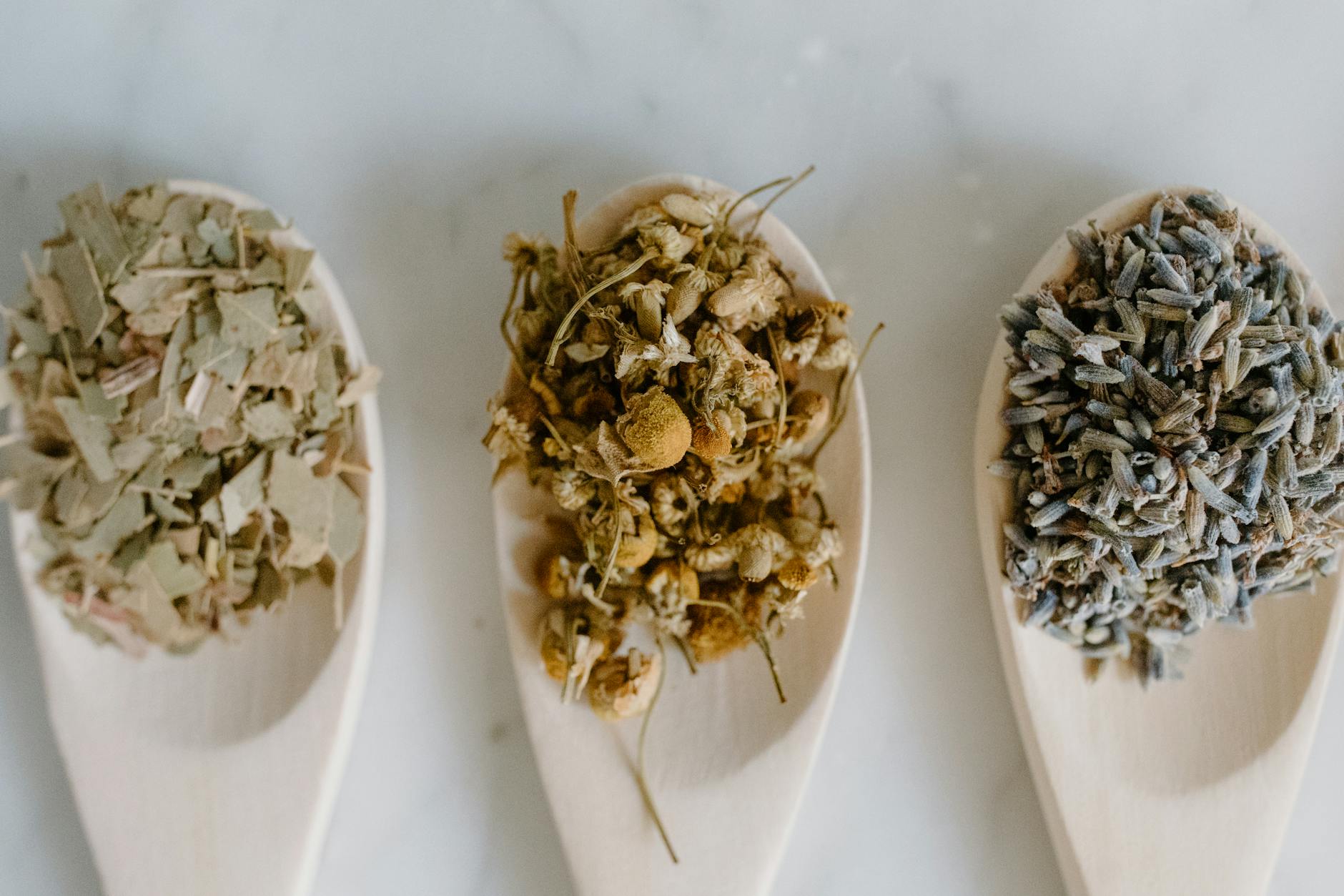 Herbal Healing Remedies