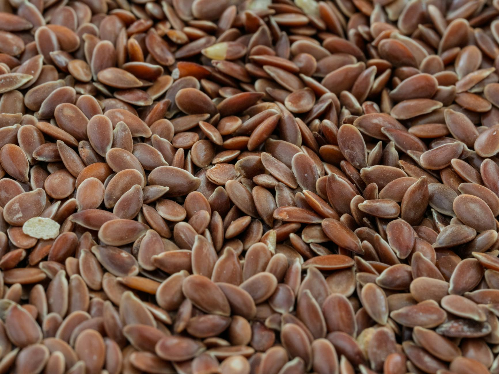 Seeds & Plants