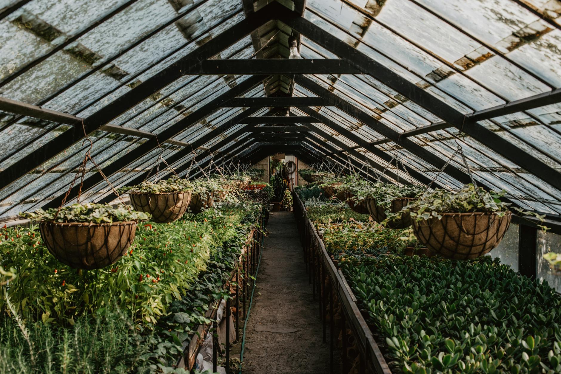 Indoor Gardening