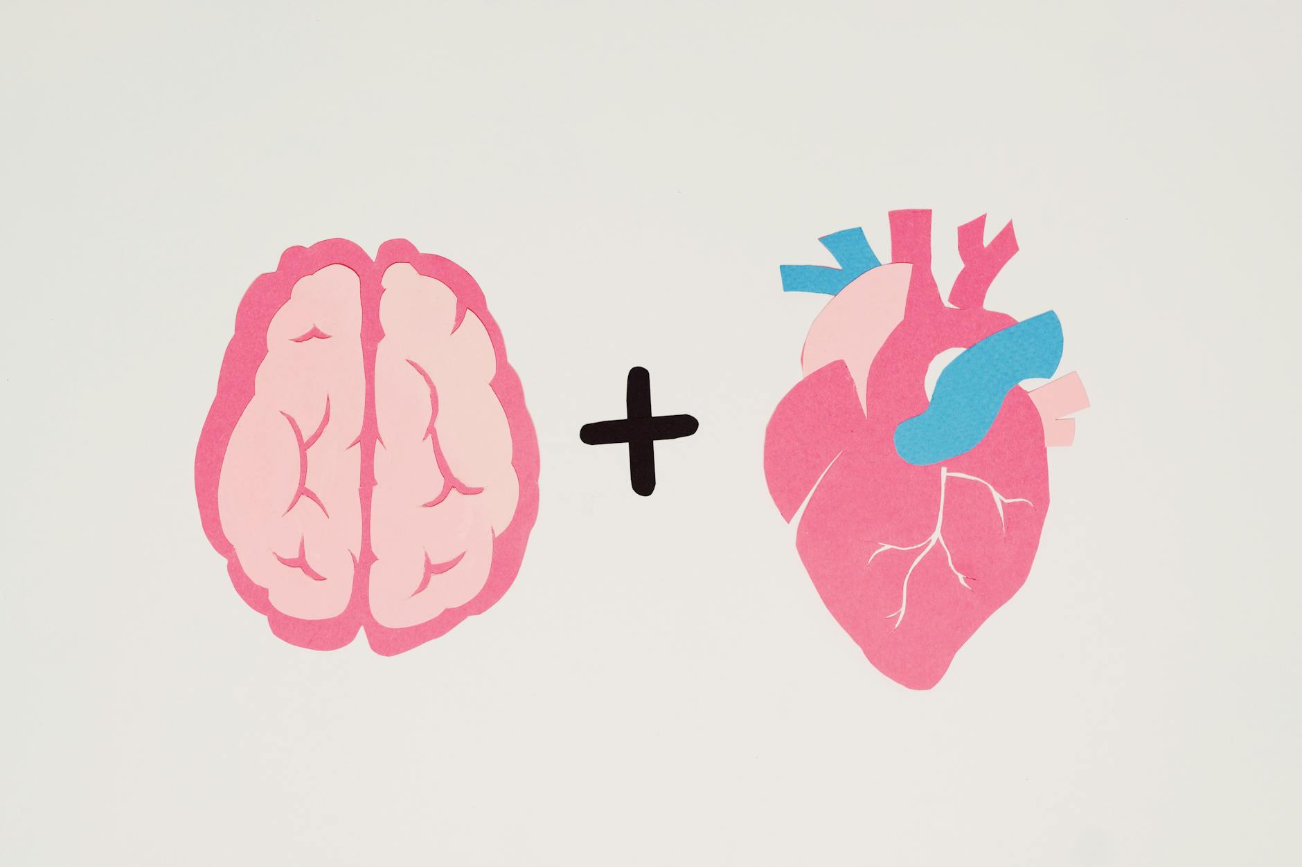 Cardiovascular
