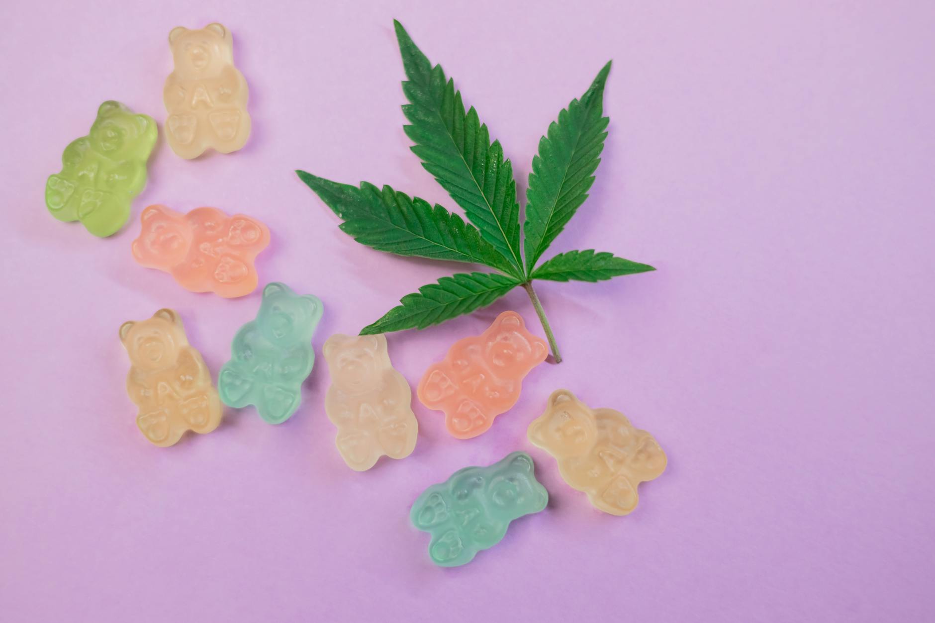 Candy