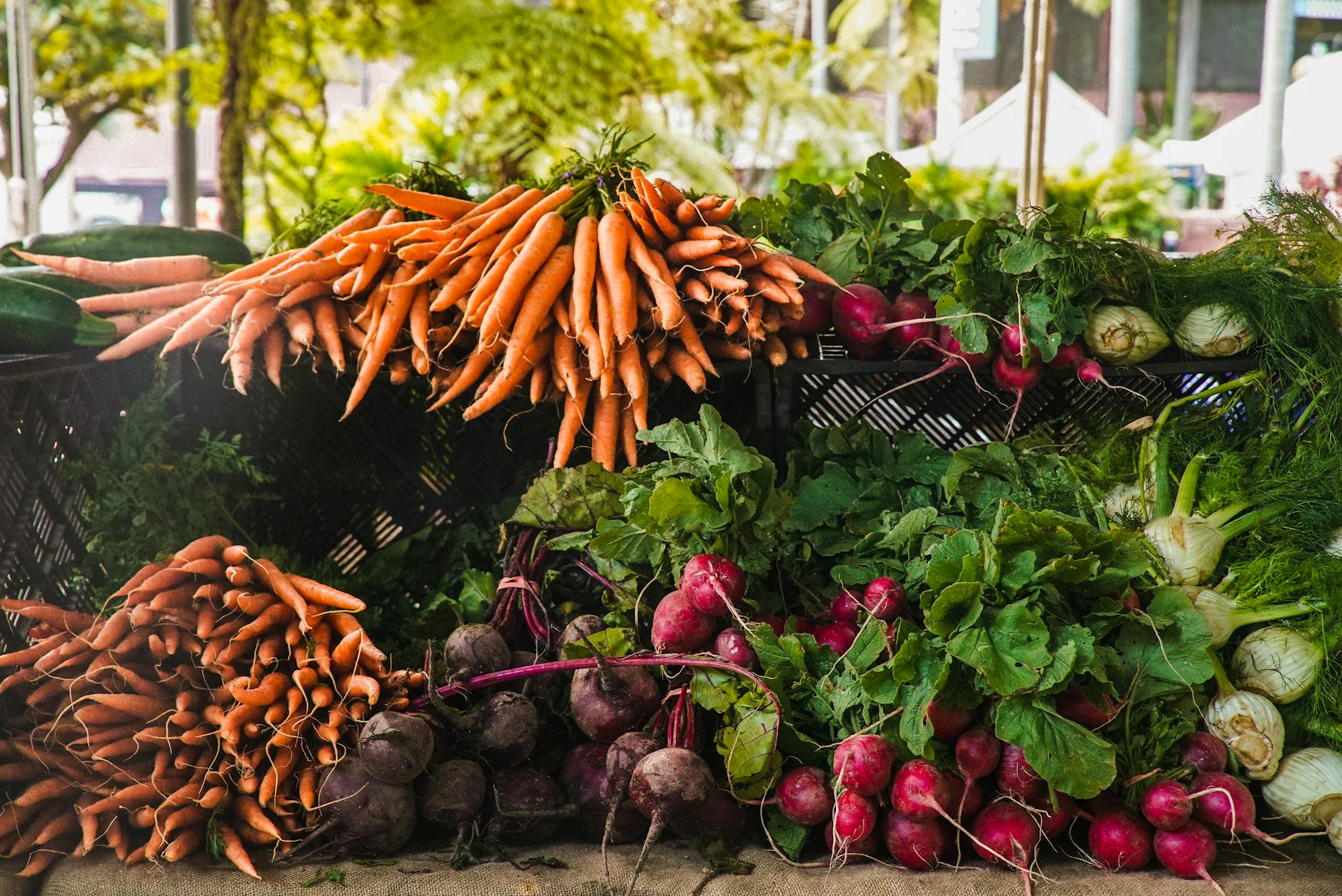 Fresh Vegetables