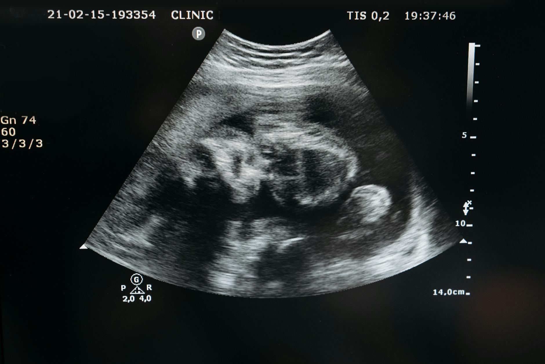 Pregnancy & Parenting Books