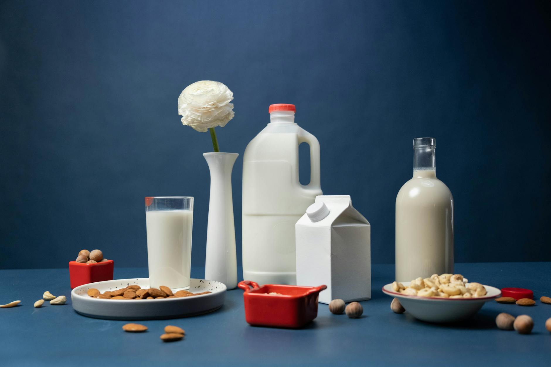 Dairy & Alternatives