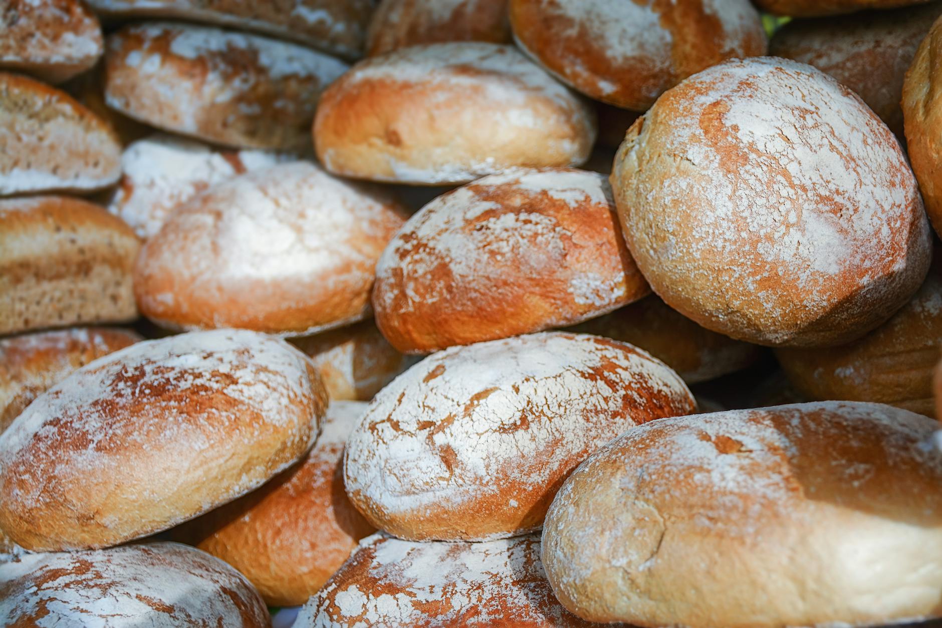Bread