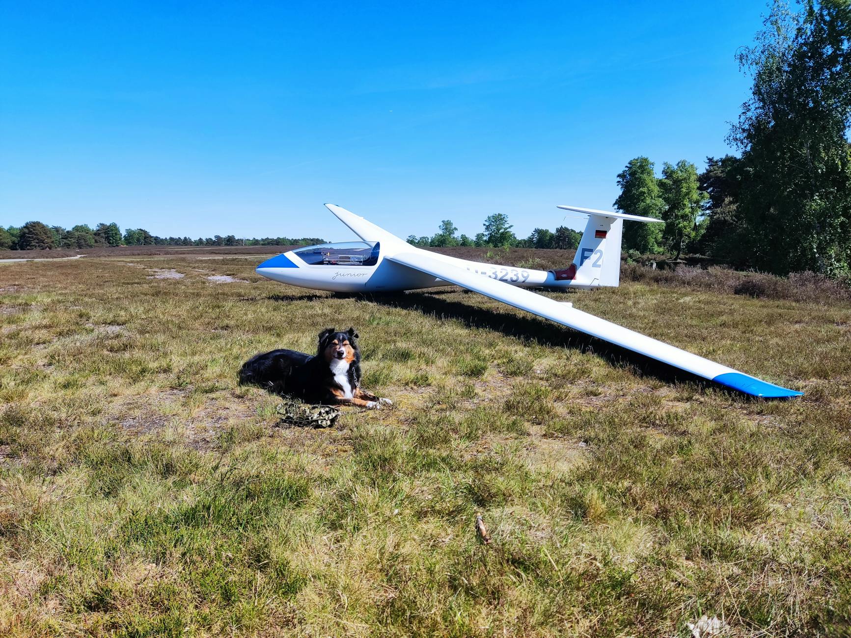 Gliders