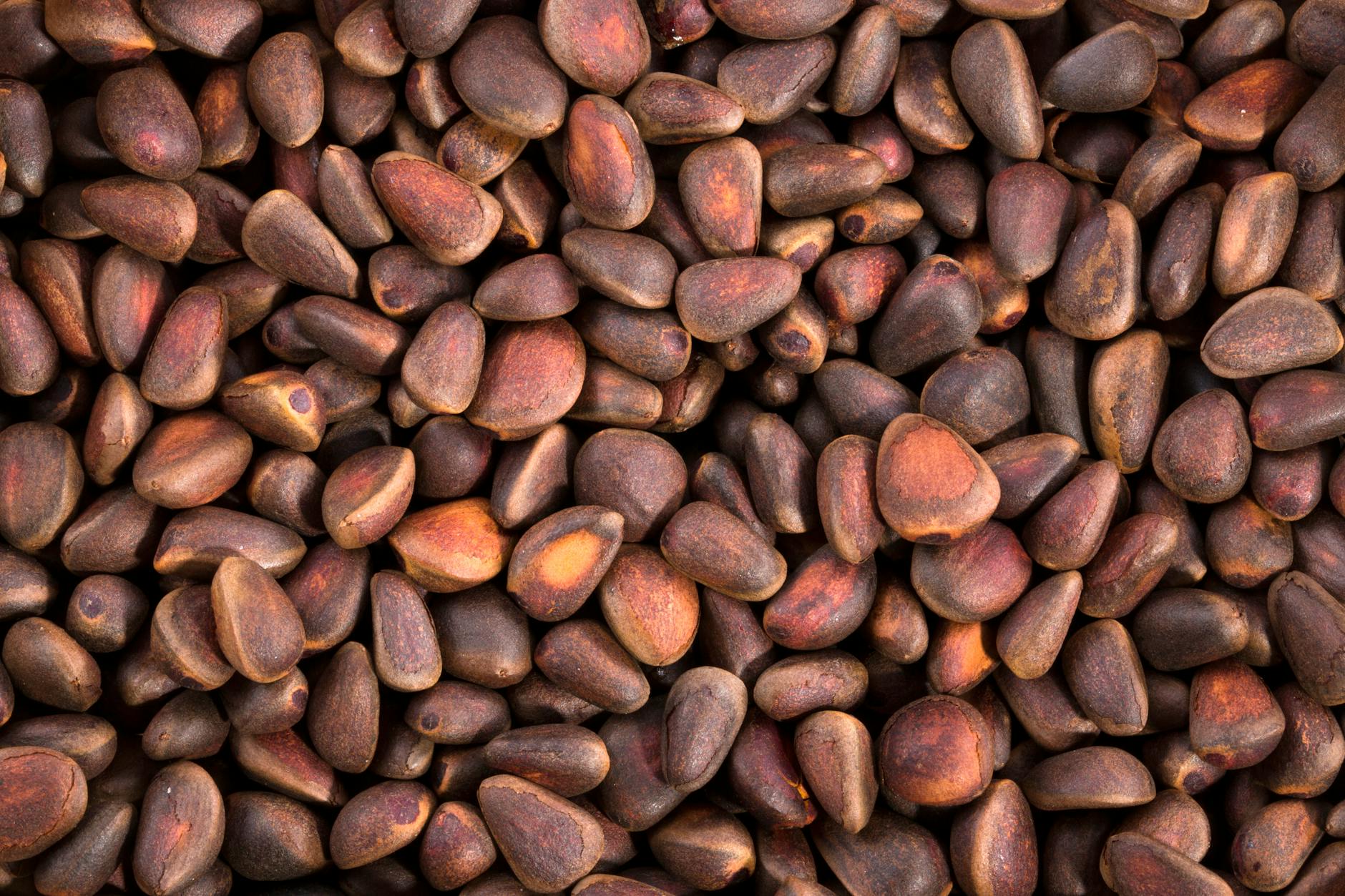 Nuts & Seeds