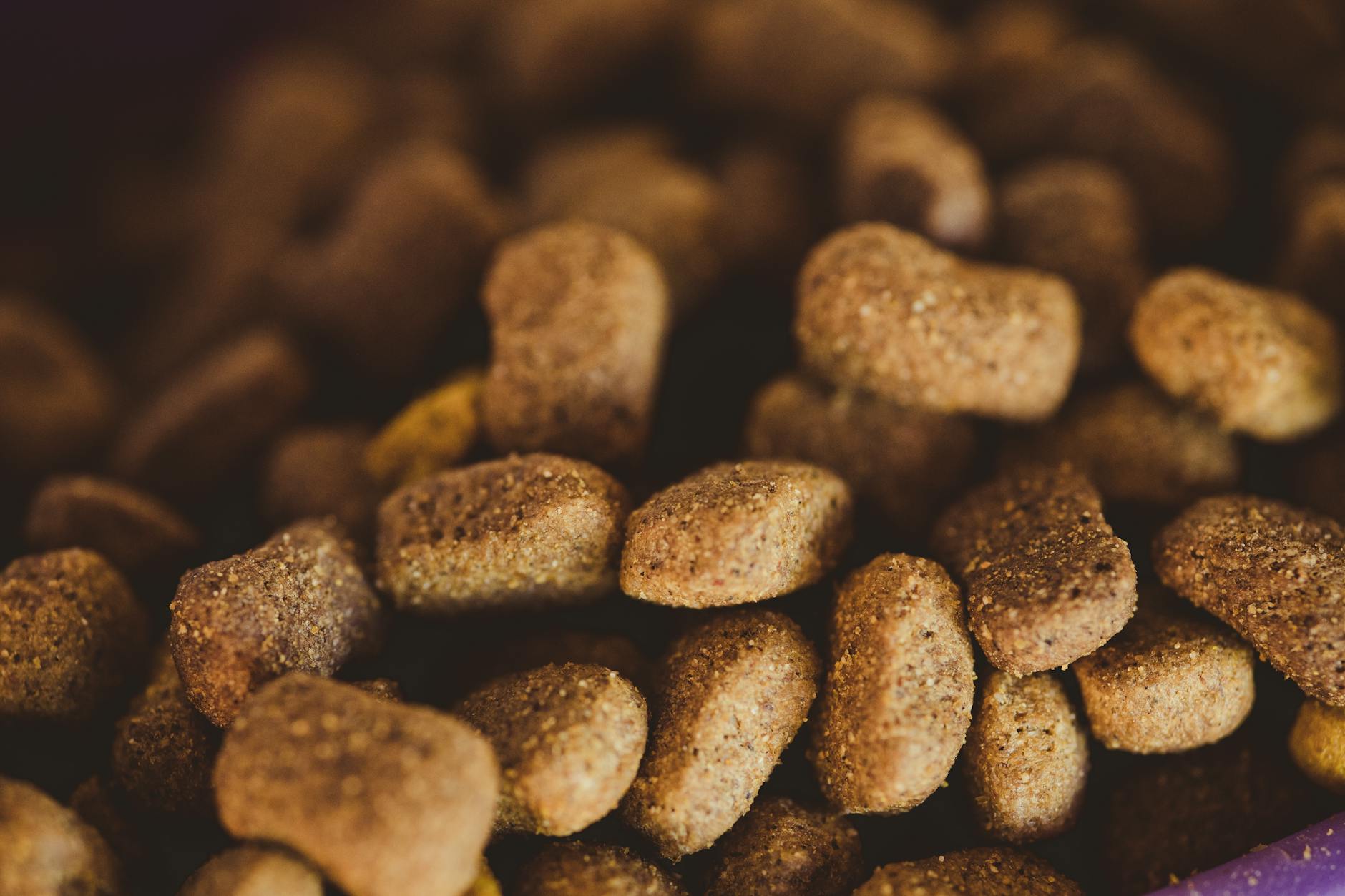 Pet Food