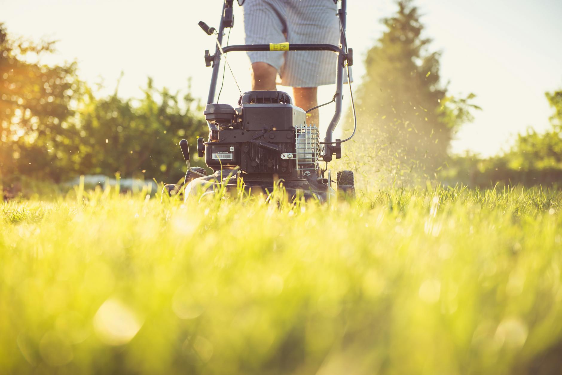 Lawn Mowers