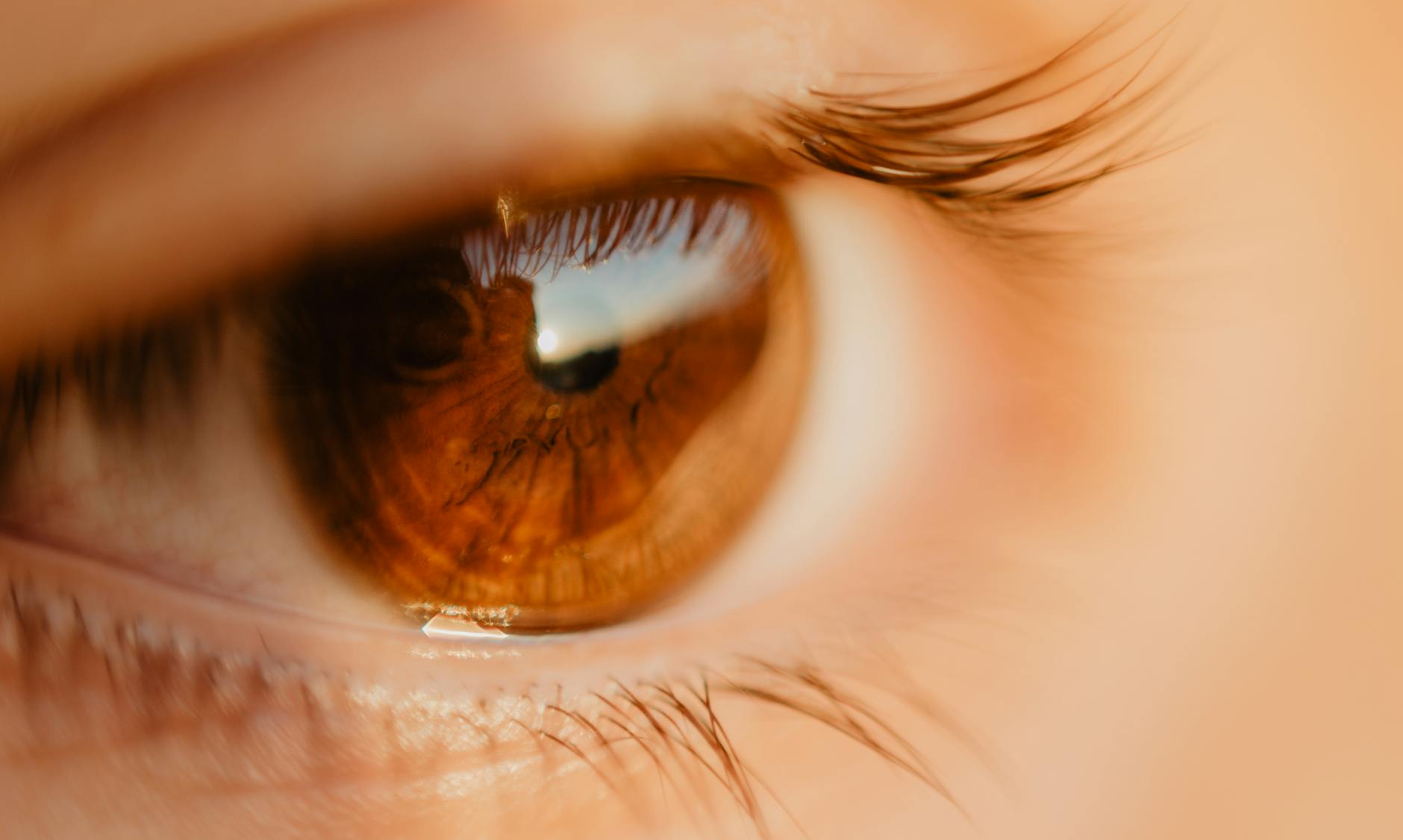 Eye Health