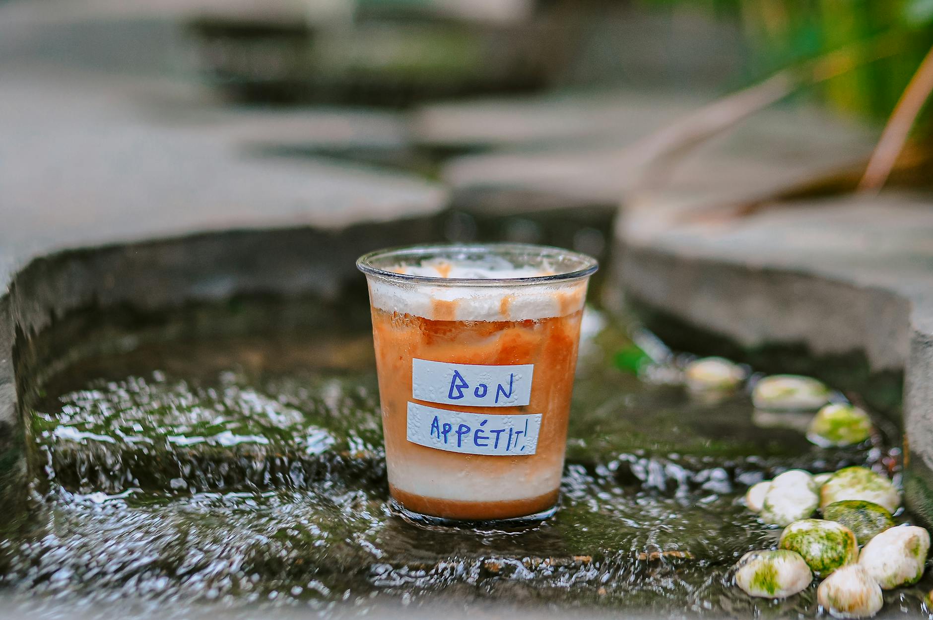 Gelatin & Pudding Mixes