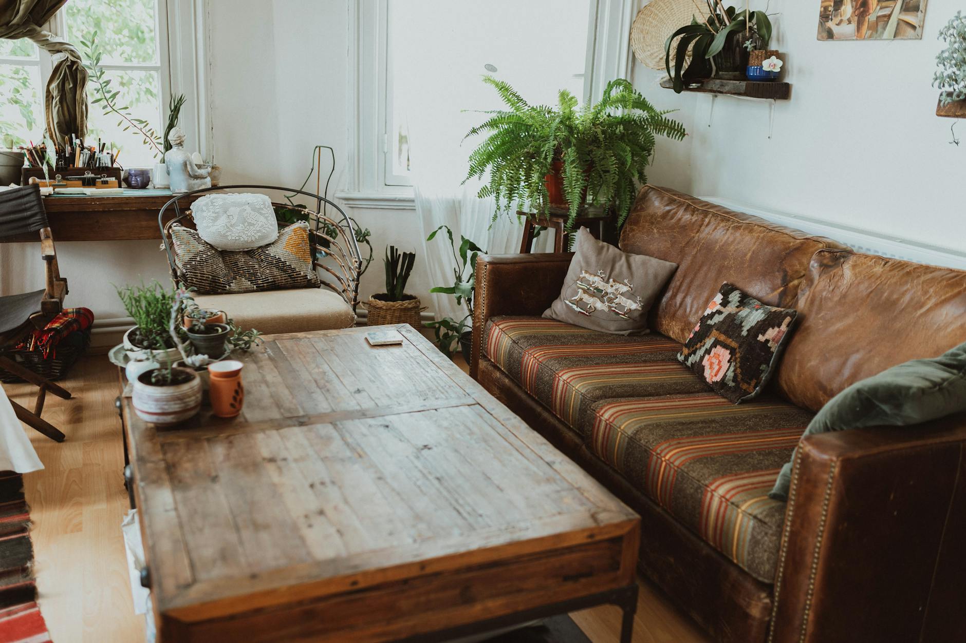 Furniture & Decor
