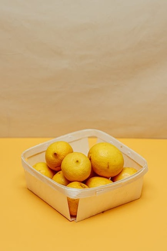 Food Container