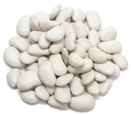 Grown Great Northern Beans