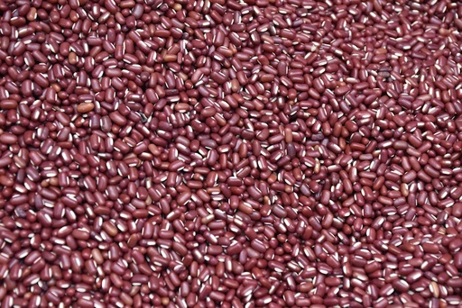 Kidney Beans 