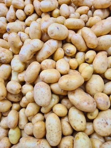 Red Potatoes ORG