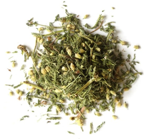 Yarrow Flower