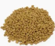 [992115] Fenugreek Seeds (for sprouting) 4oz