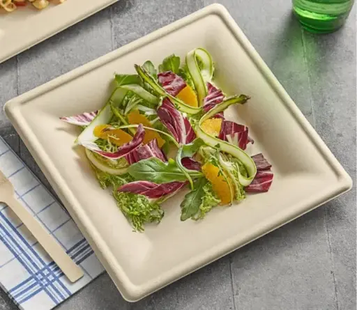 Plant Fiber Square Plate