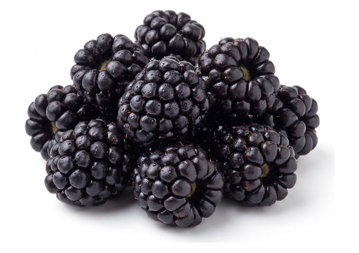 [310151-12] Organic Blackberries